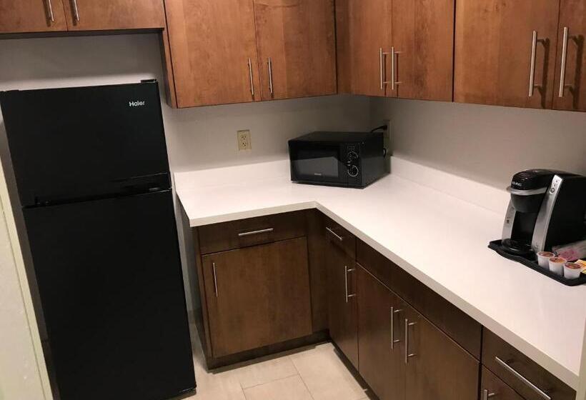 Quarto Estandar Cama King para Deficientes Físicos, Holiday Inn Express Orlando   South Davenport, An Ihg