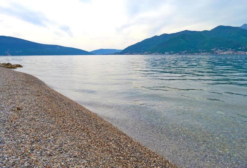 اتاق لوکس, Tivat Apartments