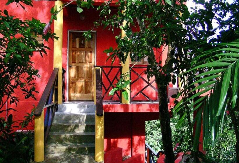 سوییت جونیور, Bay View Eco Resort & Spa