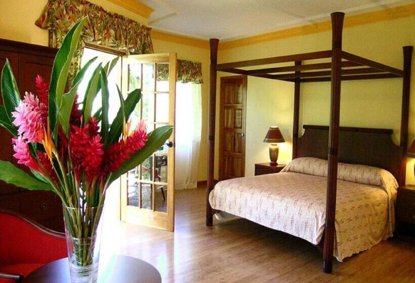 سوییت جونیور, Bay View Eco Resort & Spa