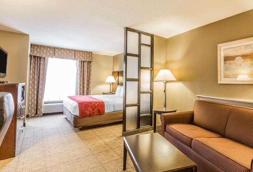 Люкс Кровать Кинг, Comfort Suites