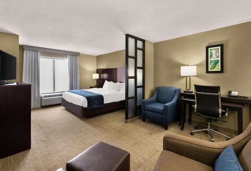 Люкс Кровать Кинг, Comfort Suites