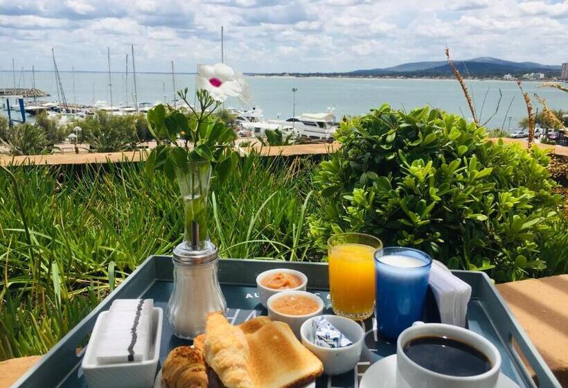 اتاق استاندارد با تراس, San Remo Terrazas