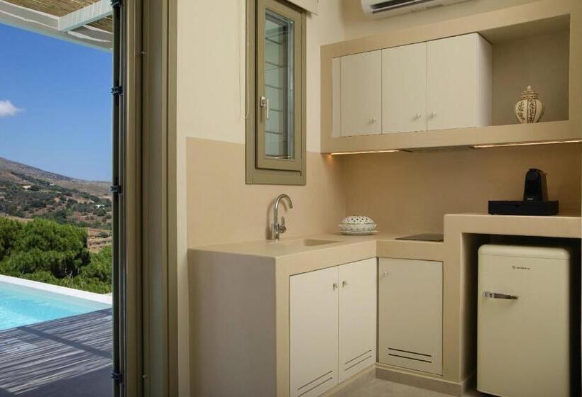 标准平房, Casa Di Fiori Andros Suites
