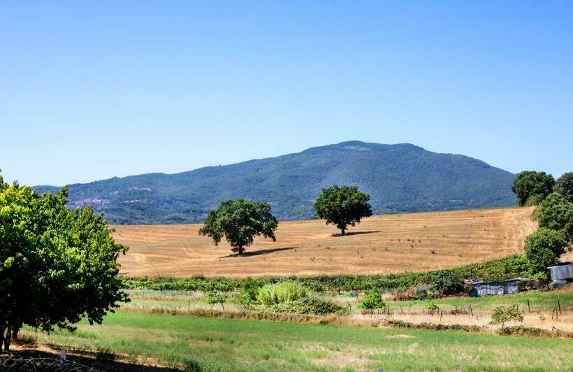 Номер Стандарт, Agriturismo Poggio Degli Ulivi