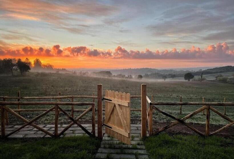 Бунгало Стандарт, Agriturismo Poggio Degli Ulivi