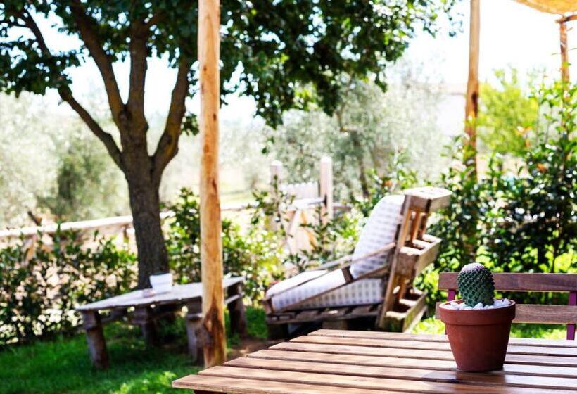 Семейное Бунгало, Agriturismo Poggio Degli Ulivi