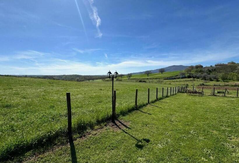 Бунгало Стандарт, Agriturismo Poggio Degli Ulivi