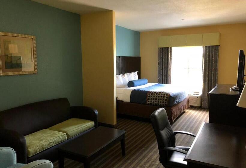 Suite Letto King, Best Western Plus Goodman Inn & Suites