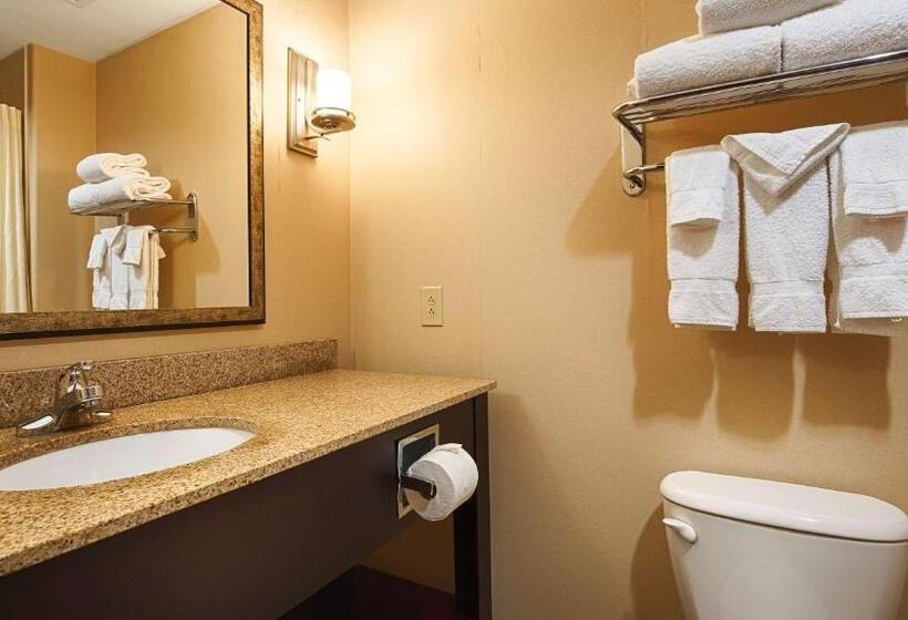 Camera Standard, Best Western Plus Goodman Inn & Suites
