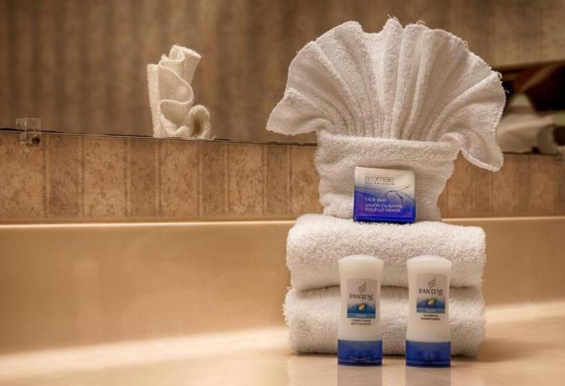 Camera Standard Letto King Accessibile ai persone con mobilità ridotta, Best Western Plus Goodman Inn & Suites