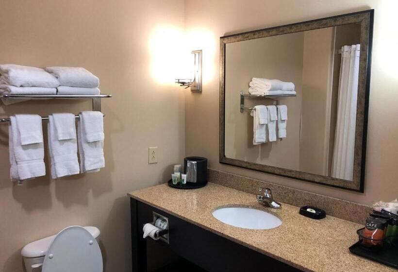 Camera Standard Accessibile ai Disabili, Best Western Plus Goodman Inn & Suites