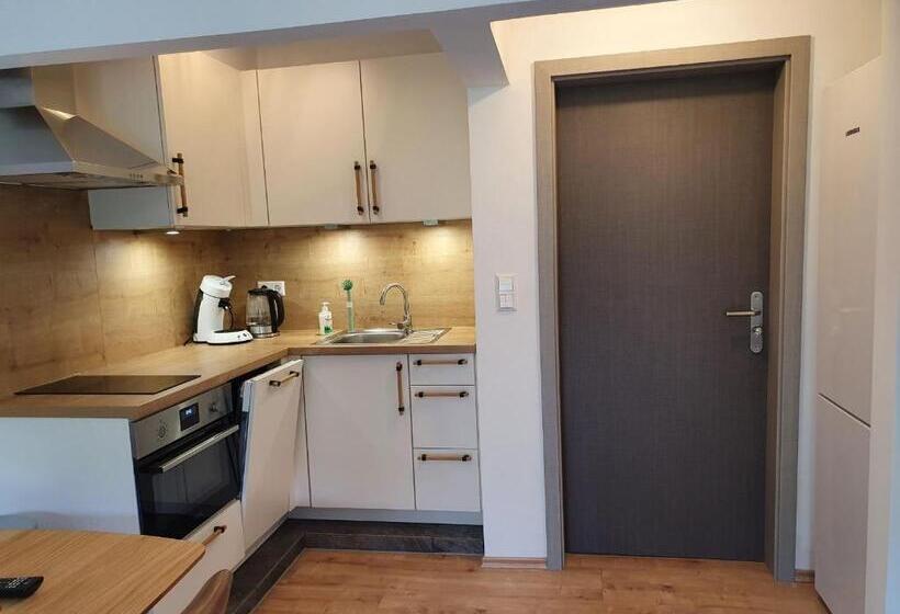 침실 1개 바다 전망 아파트, Römerstube Apartments & Rooms