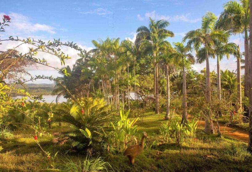 １ベッドルームハウス, Art Jungle Eco Lodge