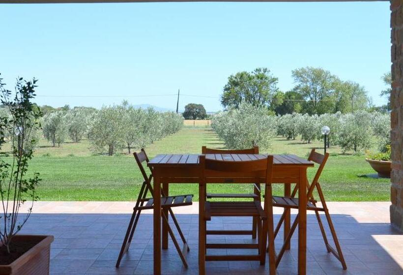 آپارتمان 1 خوابه با چشم‌انداز باغ, Agriturismo Il Vecchio Mandorlo
