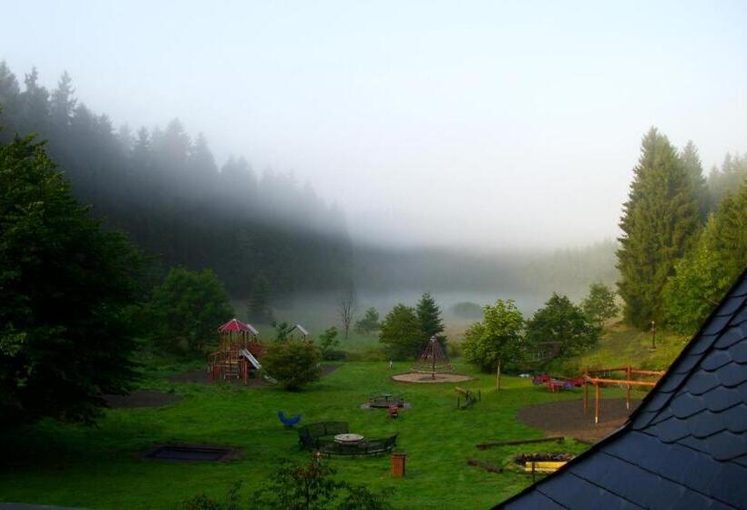 Апартаменты 1 Спальня с Террасой, Flambacher Mühle