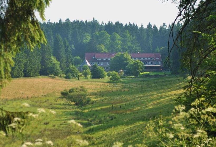 Апартаменты 1 Спальня с Террасой, Flambacher Mühle