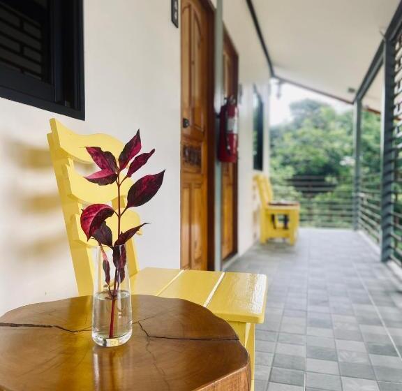 آپارتمان 1 خوابه با چشم‌انداز باغ, Hanoii House