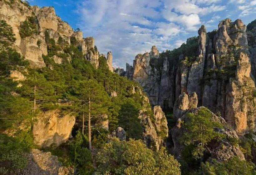 장애인을 위한 스탠다드 룸, Casa Rural Restaurante Mas Del Rei