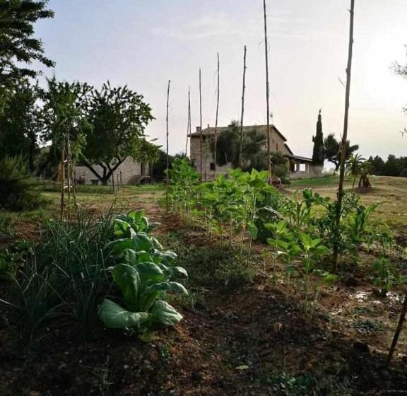 장애인을 위한 스탠다드 룸, Casa Rural Restaurante Mas Del Rei