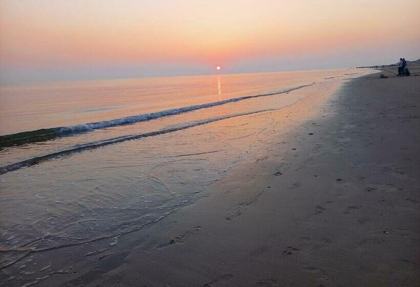 اتاق لوکس با تخت بزرگ, Room By The Sea