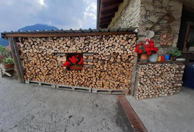 Номер Стандарт, Agri B&b Lou Col