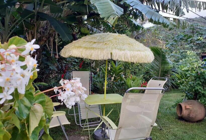 اتاق استاندارد با چشم‌انداز کوهستان, Terrasse Du Piton
