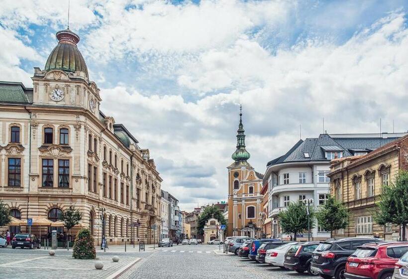 Апартаменты Superior 1 Спальня, Skodova Apartments