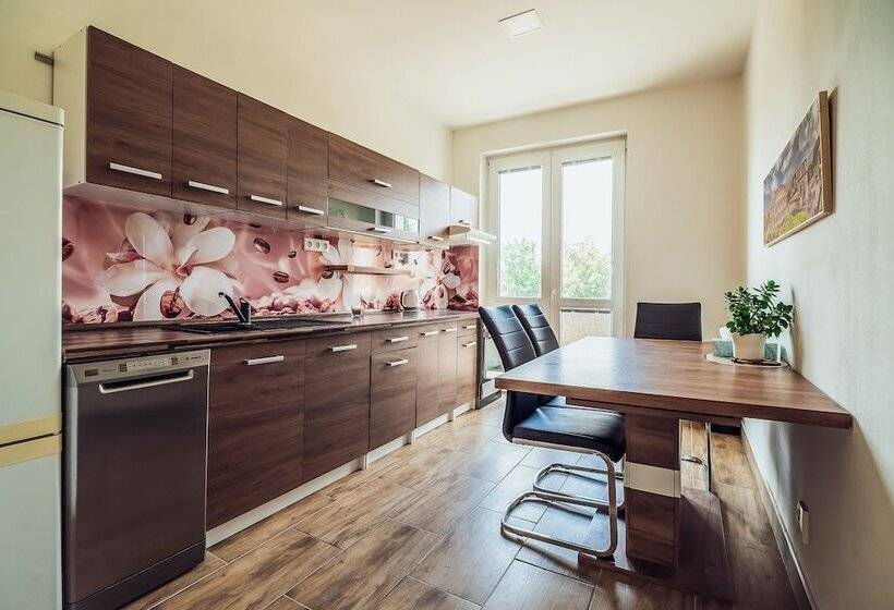 Апартаменты Superior 1 Спальня, Skodova Apartments