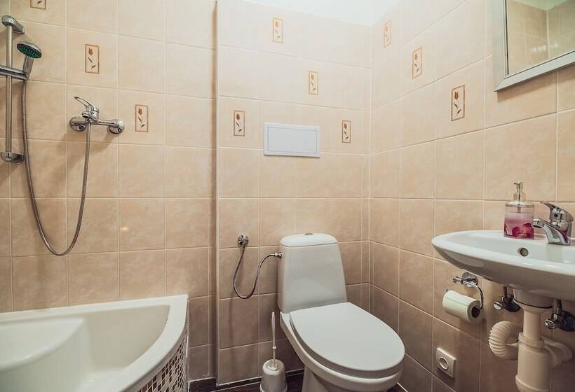 Апартаменты Superior 1 Спальня, Skodova Apartments