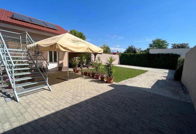 اتاق خانوادگی, Sunny Apartman