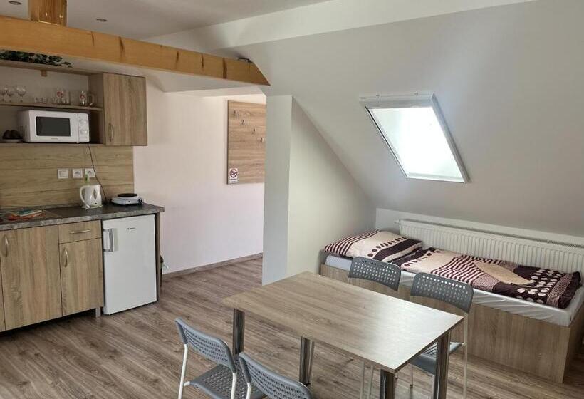 اتاق خانوادگی, Sunny Apartman