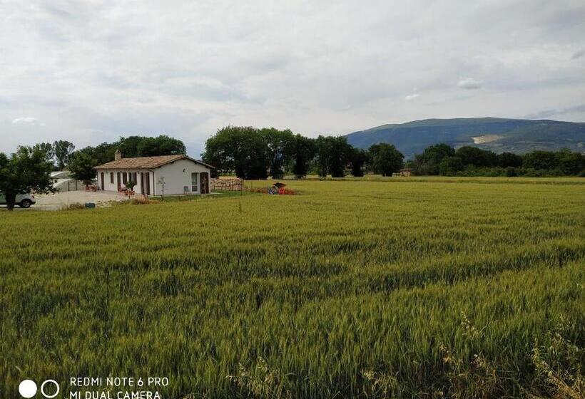 Студия Стандарт, Agriturismo  Le Serre