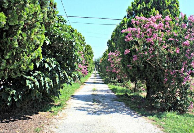 Апартаменты 2 Спальни, B&b Villa Paolida, Aceto Balsamico & Acetaia Antica