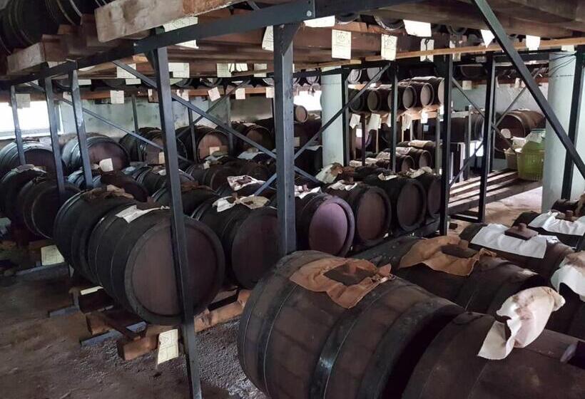 스탠다드 룸, B&b Villa Paolida, Aceto Balsamico & Acetaia Antica