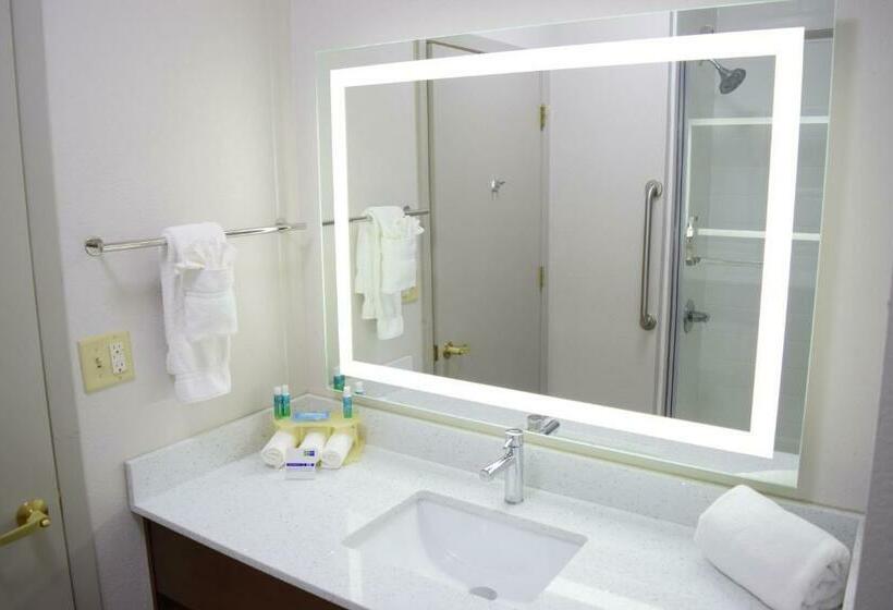 Стандартный Номер Кровать Кинг, Holiday Inn Express & Suites Pensacola West I 10, An Ihg