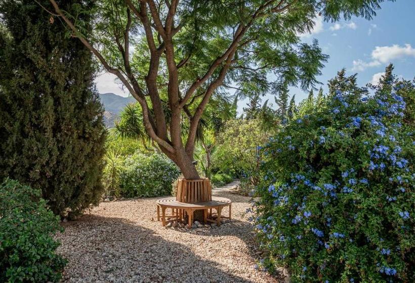 Номер Deluxe, Finca El Limonar