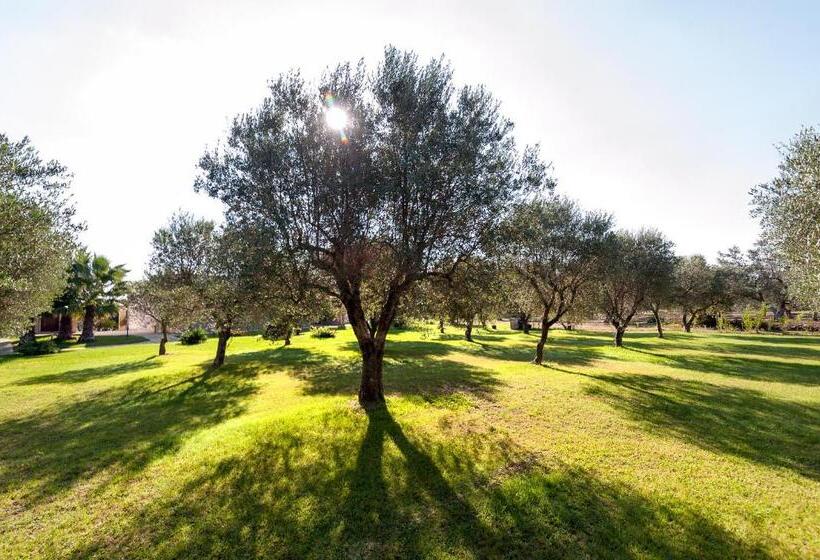 سوییت خانوادگی, Olive Garden House