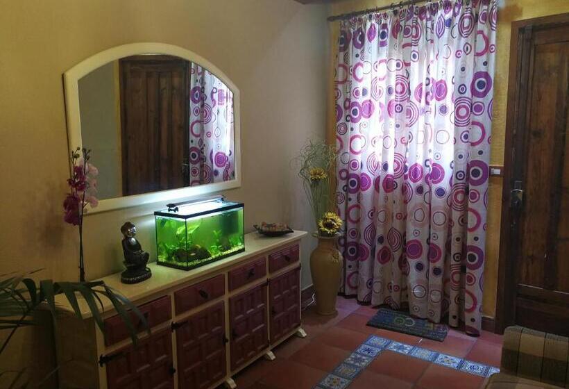 Номер Стандарт Совместная Ванная, Guest House Casa Tacoronte