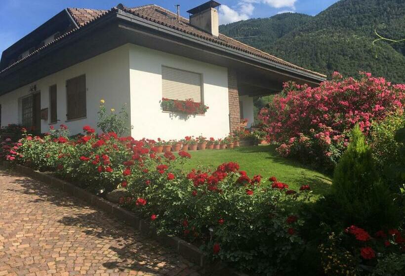 آپارتمان 1 خوابه, Weingut Zundlhof