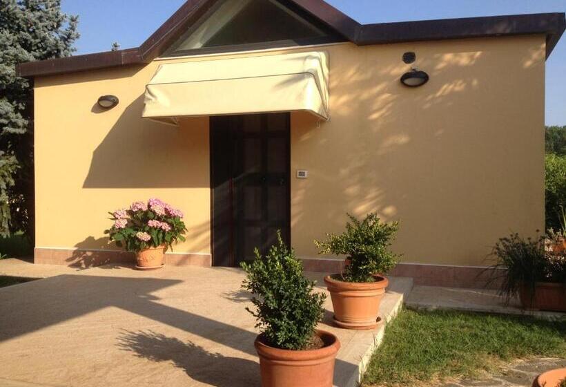 اتاق لوکس, La Spiga