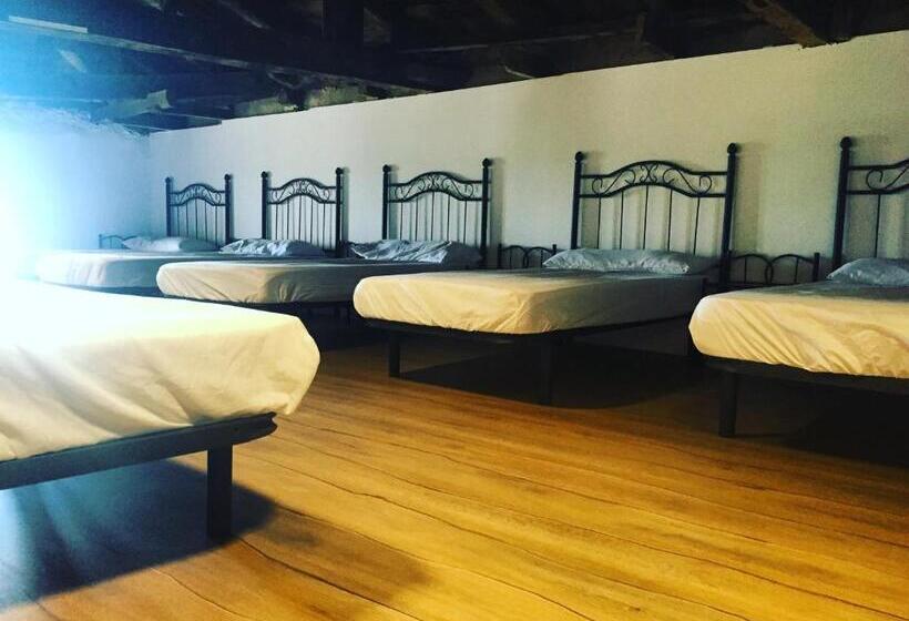 تختخواب در اتاق مشترک, Albergue Rosalia / Pilgrim Hostel