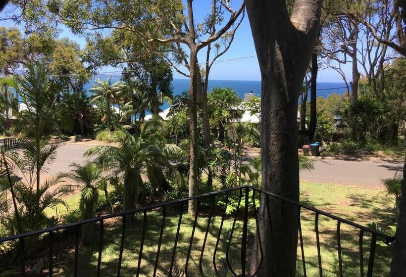 디럭스 테라스 룸 바다 전망, Palm Beach Bed & Breakfast
