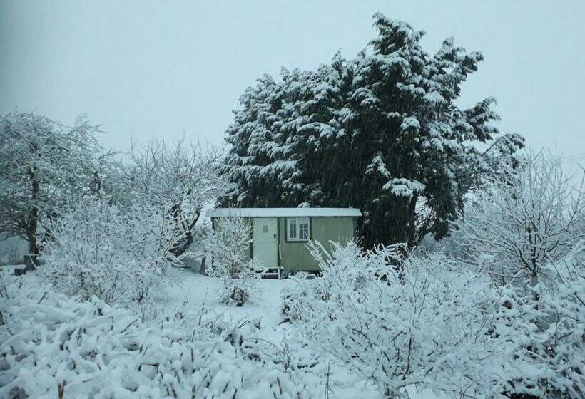 스탠다드 룸, Abbey Farm Glamping & Cottage