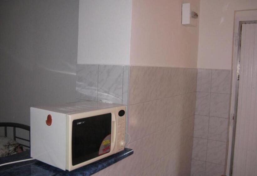 四人标准间, Kárpáti Motel