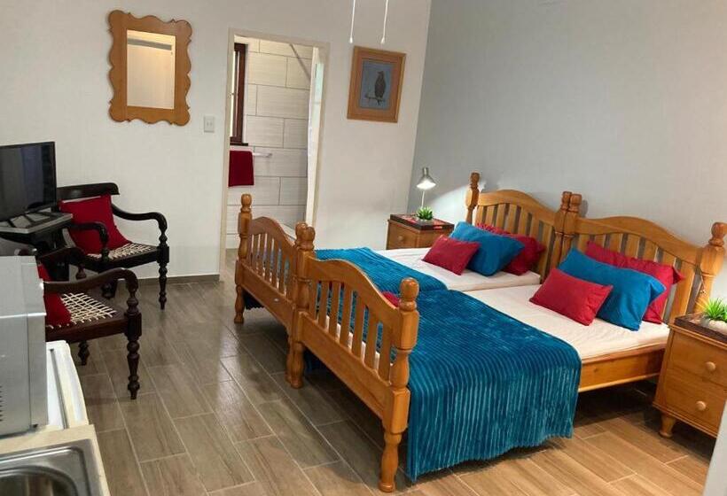 استودیوی لوکس, Dome Home Accommodation