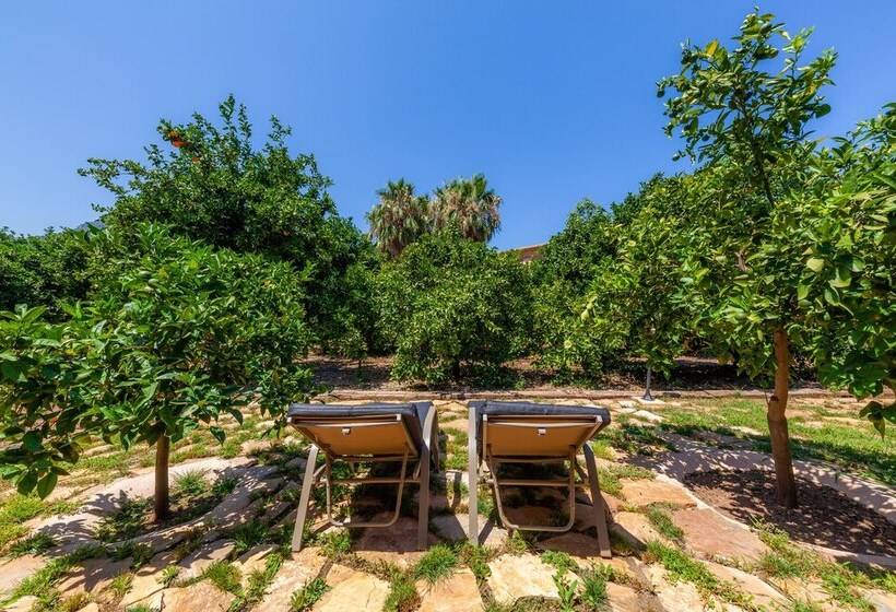Люкс с Террасой, Finca Ca S Curial   Agroturismo   Adults Only