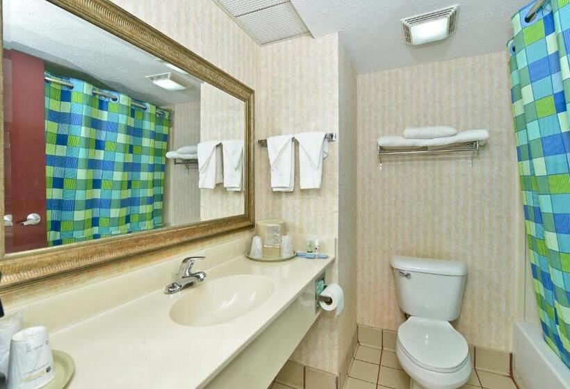 Номер Стандарт Кровать Кинг Адаптированный для Инвалидов, Best Western Canton Inn