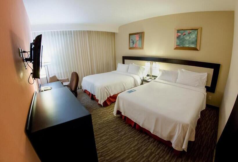 身障者適用スタンダードルーム, Excellence Express & Suites