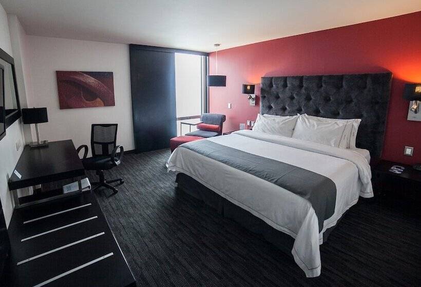 标准间, Holiday Inn Express Toluca Galerias Metepec, An Ihg